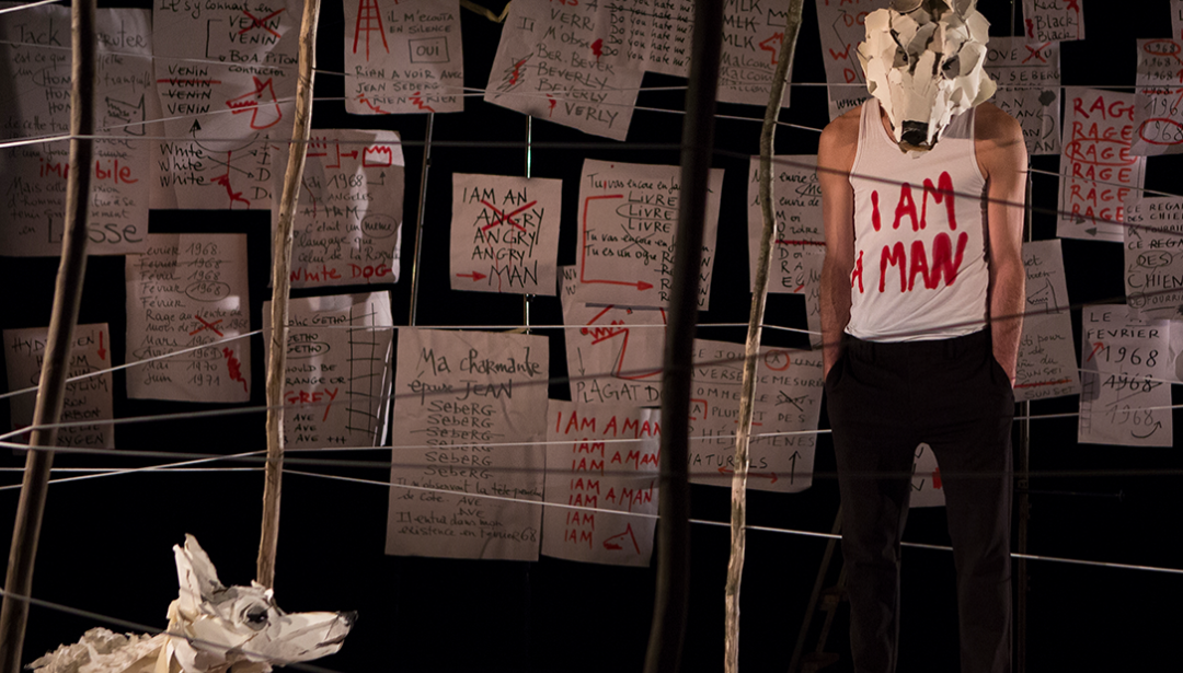 Agenda sorties Zaï Zaï